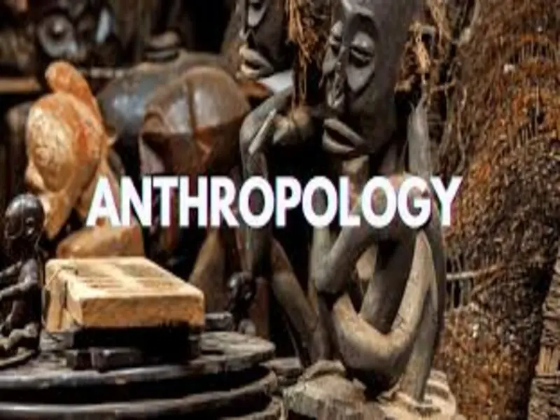 Anthropology Telegram Group Links